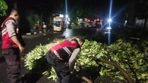 Gercep, Polisi Kota Kediri Evakuasi Pohon Tumbang di Jalur Mudik