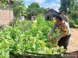 Dukung Ketahanan Pangan, Polres Nganjuk Dampingi Pemanfaatan Lahan Pekarangan Lestari