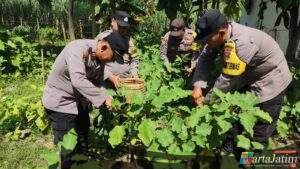 Panen Terong dan Singkong di Polsek Tarokan, Warga Sekitar Kebagian