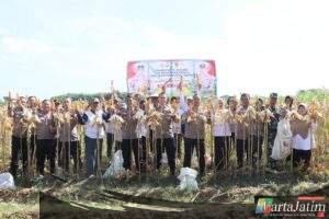 Polres Kediri Kota Panen Raya Jagung, Wujud Nyata Dukung Swasembada Pangan