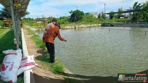 Bhabinkamtibmas Tropodo Krian Gandeng Warga Kembangkan Budidaya Ikan Nila untuk Dukung Ketahanan Pangan