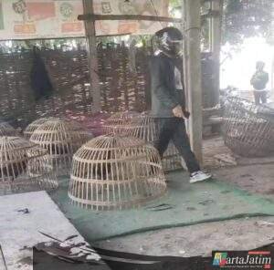 Polsek Krian Grebek Lokasi Sabung Ayam di Sedengan Mijen, Puluhan Barang Bukti Diamankan