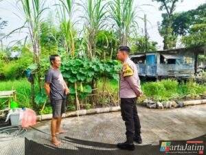 Budidaya Cabai dan Labu Air, Polres Nganjuk Dukung Ketahanan Pangan Lewat Pemanfaatan Pekarangan Warga