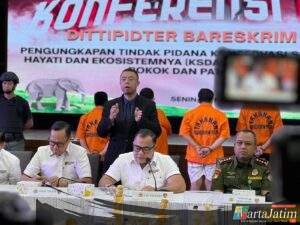 Dittipidter Bareskrim Polri Ungkap Perdagangan Ilegal Gading Gajah di Sukabumi dan Jakarta