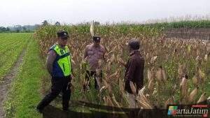 Dukung Ketahanan Pangan, Polisi Kediri Dialogis dengan Petani