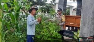 Pekarangan Produktif, Polsek Sawahan Kawal Ketahanan Pangan di Desa Duren