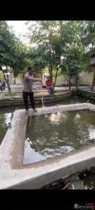 Polsek Gondang Sulap Lahan Kosong Jadi Kolam Lele dan Nila, Wujud Nyata Dukung Ketahanan Pangan
