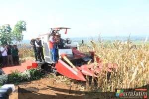Dukung Swasembada Pangan, Kapolda Jatim Bersama Forkopimda Panen Raya Jagung Kuartal II di Ngawi