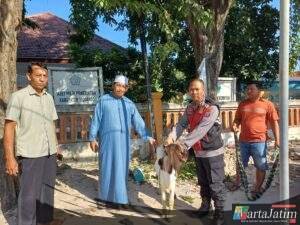 Polsek Krian Serahkan Satu Ekor Kambing Kurban kepada MUI Krian