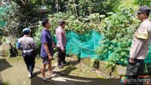 Polsek Sawahan Dukung Ketahanan Pangan Lewat Pemanfaatan Lahan Perkarangan