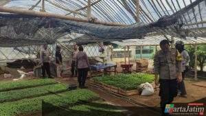Polsek Kertosono Dukung Program Asta Cita Ketahanan Pangan Lewat Pembibitan Cabe dan Terong