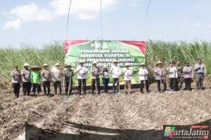 Dukung Program Nasional Swasembada Pangan, Polres Kediri Kota Gelar Tanam Jagung Serentak di Kelurahan Dermo