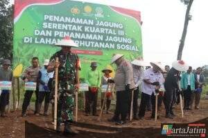 Kolaborasi Untuk Swasembada : Polres Pasuruan Tanam Jagung Serentak di Lahan Perhutanan Sosial
