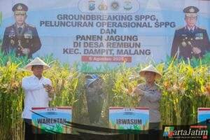 Panen Raya Jagung di Malang, Wujud Nyata Komitmen Polri dalam Ketahanan Pangan Nasional