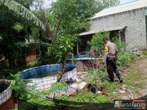 Bhabinkamtibmas Berbek Dorong Budidaya Lele dan Nila di Pekarangan Rumah