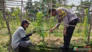 Pemanfaatan Lahan Pekarangan di Desa Sidoharjo Dukung Program Ketahanan Pangan