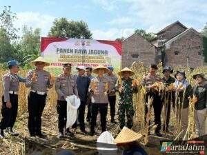 Menuju Swasembada Pangan, Kapolres Trenggalek Bersama Warga Panen Raya Jagung