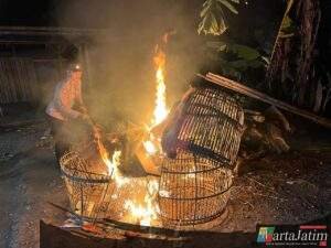 Polisi Bongkar Dua Lokasi Arena Judi Sabung Ayam di Malang