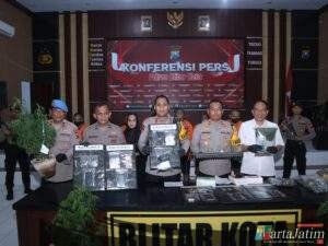Operasi Tumpas Narkoba Polres Blitar Kota Amankan 9 Tersangka 1 Diantaranya Pemilik Lahan Ganja