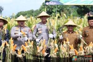 Perkuat Ketahanan Pangan Polres Blitar Kota bersama Forkopimda Panen Raya Jagung Kuartal III
