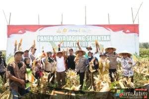 Swasembada Pangan, Kapolres Kediri Ikuti Panen Raya Jagung Kuartal III di Ngasem
