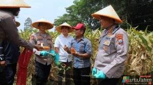 Dukung Swasembada Pangan Nasional Polresta Malang Kota Targetkan Lahan 26,35 Hektar untuk Kuartal IV