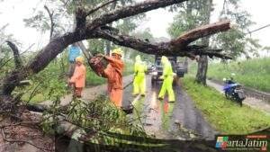 Respon Cepat Polisi dan BPBD Evakuasi Pohon Tumbang, Jalur Magetan – Bendo Kembali Lancar