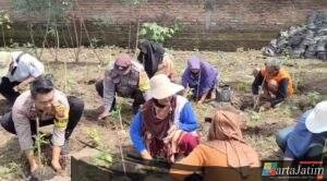 Polsek Warujayeng Dorong Penanaman Cabai di Lahan P2B Desa Getas