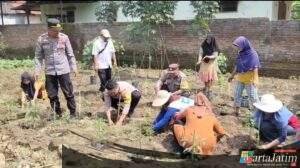Polsek Warujayeng Dorong Penanaman Cabai di Lahan P2B Desa Getas