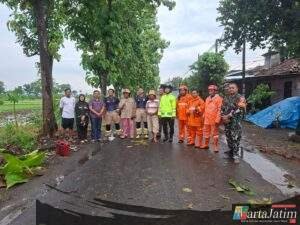Tanggap Darurat, Polsek Ngronggot Gerak Cepat Atasi Pohon Tumbang yang Tutup Akses Jalan