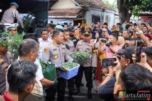 Polres Jombang Bongkar Budidaya Ganja di Rumah Kontrakan,110 Batang Disita