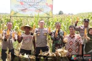 Panen Raya Jagung Serentak Kuartal I 2026, Polri Tegaskan Komitmen Dukung Swasembada Pangan Nasional