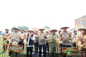 Polda Jatim Gelar Panen Raya Jagung Serentak Kuartal IV di Sidoarjo