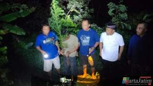 Tanam Ganja di Rumah, Dua Warga Plosoklaten Diamankan Polres Kediri