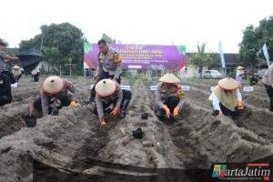 Ambil Peran Strategis Ketahanan Pangan, Polres Kediri Polda Jatim Tanam Raya 3.000 Bibit Uwi Ungu