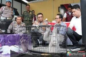 Polresta Sidoarjo Ungkap Perdagangan Ilegal Satwa Lindung Jaringan Internasional