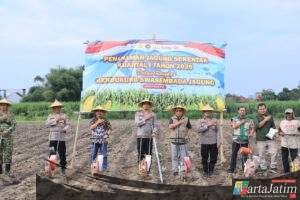 Melalui Zoom Bersama Kapolri, Wakapolres Kediri Kota Tanam Jagung Simbolis di Burengan