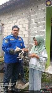 Damkar Kabupaten Kediri Turun Evakuasi Kucing Yang Terjebak Dalam Sumur Di Batuaji