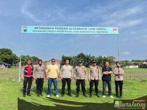 Ketahanan Pangan Alternatif, Uwi Ungu Polres Kediri Tumbuh Subur