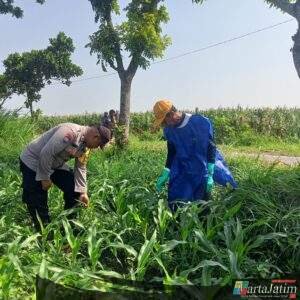 Dukung Ketahanan Pangan, Kanit Binmas Polsek Papar Aktif Lakukan Pendampingan Kelompok Tani