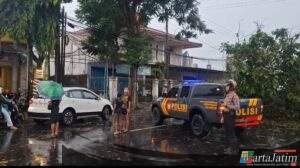Gerak Cepat Polisi Bersama BPBD dan Warga Evakuasi Pohon Tumbang Di Wilayah Kota Kediri Sore Ini