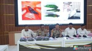 Polres Probolinggo Kota Gagalkan Penyelundupan Satwa Dilindungi, ABK Jadi Tersangka