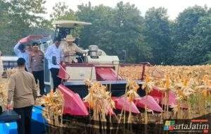 Presiden Prabowo dan Kapolri Panen Raya Jagung Nasional di Tuban Perkuat Ketahanan Pangan