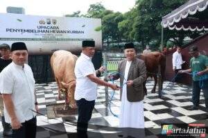 Iduladha 1447 H Polda Jatim Salurkan Ratusan Hewan Kurban untuk Masyarakat