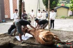 Polres Kediri Kota Tebar Kepedulian di Idul Adha 1447 H, Salurkan 10 Sapi dan 8 Kambing Qurban