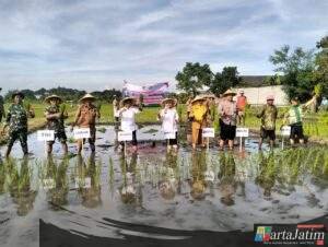 Polri Hadir di Tengah Petani, Percepatan Tanam di Kaliombo Perkuat Ketahanan Pangan
