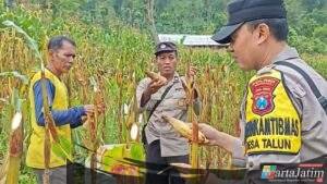 Polres Ponorogo Sahabat Petani, Dampingi Warga Wujudkan Swasembada Pangan