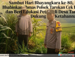Sambut Hari Bhayangkara ke-80, Bhabinkamtibmas Polsek Tarokan Cek Lahan Jagung dan Edukasi Petani di Desa Tarokan untuk Dukung Ketahanan Pangan