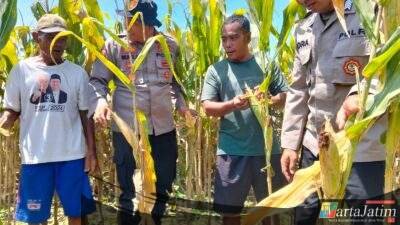 Polresta Sidoarjo Gelorakan Swasembada Pangan Melalui Program P2B