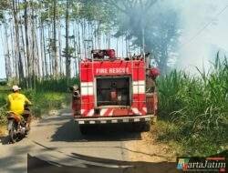 Lahan Tebu di Ngancar Kediri Terbakar, Warga Sempat Panik lalu Lapor Damkar  ​